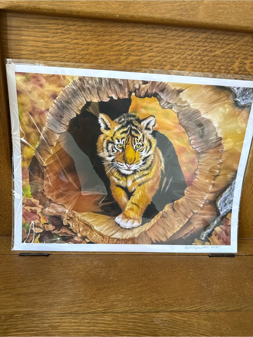 Tiger Cub Art Print - Painted and signed by Artist -  Brent R Templeton